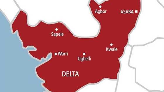 Drama as newborn’s organs removed after visiting Delta hospital