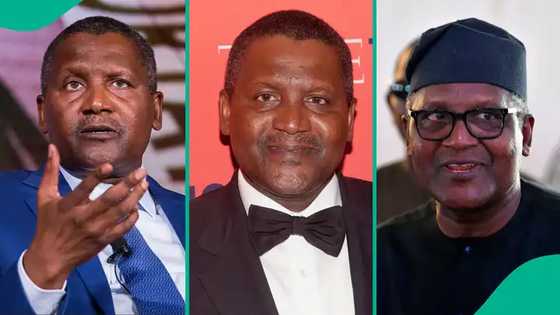 Aliko Dangote: Jerin Jami’o’i 7 da suka karrama attajirin Najeriya da digirin girmamawa