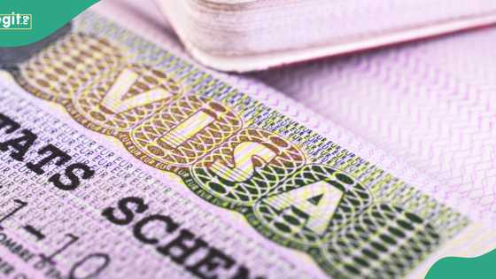 US excludes UK, Nigeria, SA, from list of eligible countries for its visa-free entry in 2025