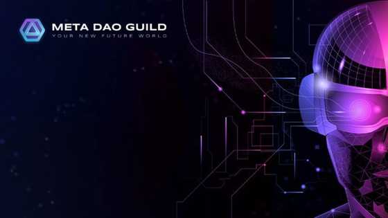 Gaming NFT & Play-to-Earn Model: Main 2022 Trend in Gaming and Investing