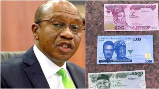 Naira Swap: Emefiele speaks on CBN's capacity to print new notes, reveals fresh position