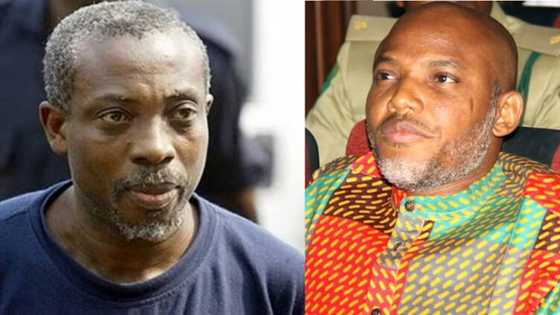 Uwazurike tells south-east govs to take over ESN, says Igbos can't afford another war