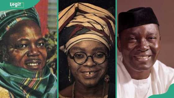 Top 30 heroes and heroines in Nigeria and their contributions