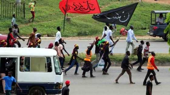 Rikici ya barke tsakanin jama'an gari da yan Shi'a a jihar Kano
