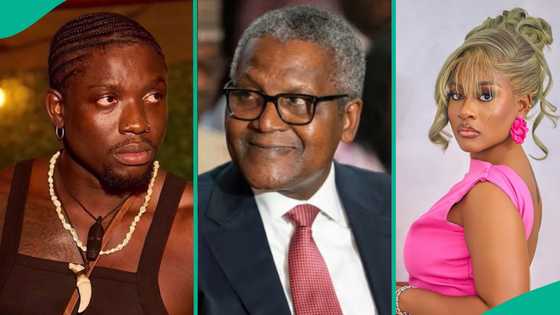 VDM calls out Dangote, shares video of Phyna's sister in critical condition after truck accident