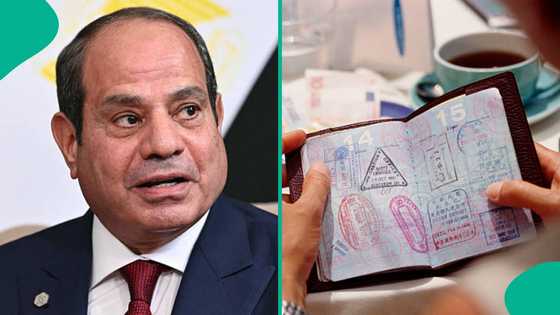 Egypt releases official list of nations cleared for free entry and visa on arrival in 2026