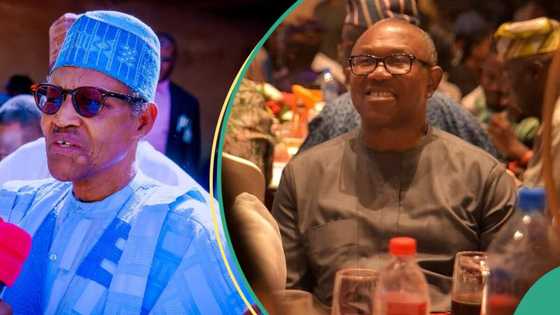 Peter Obi is similar to Buhari, PDP chieftain draws similarity