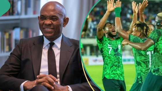 Nigerian billionaire Tony Elumelu set to buy football club