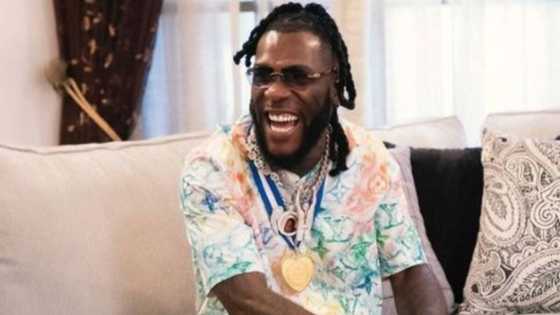 Burna Boy @ 30: 5 notable achievements in singer’s music career