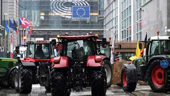 EU eyes stricter food import rules in agriculture policy review