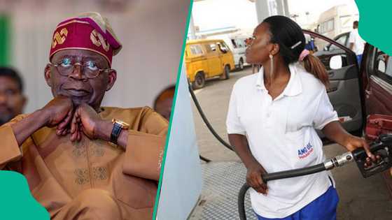 N700 per litre: Marketers give real petrol cost as FG set date for pricing summit