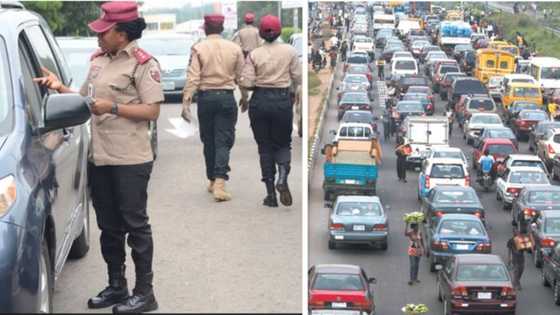 Proof of ownership certificate: Nigerians knock FG over N1,000 annual charge for all vehicles