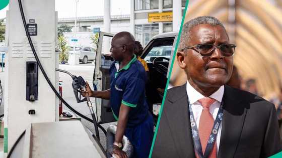NNPC challenges Dangote in court, gives reason petrol importation must continue