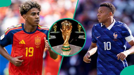 France vs Spain: Mysterious cat predicts 2026 FIFA World Cup semi-final