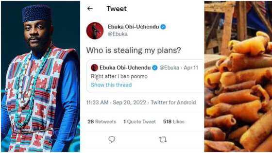Proposed ponmo ban: "You gave them the idea" - Many react to Ebuka's old tweet, he shared in April