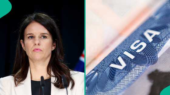 New Zealand announces 4 things foreigners can do on work exchange visa