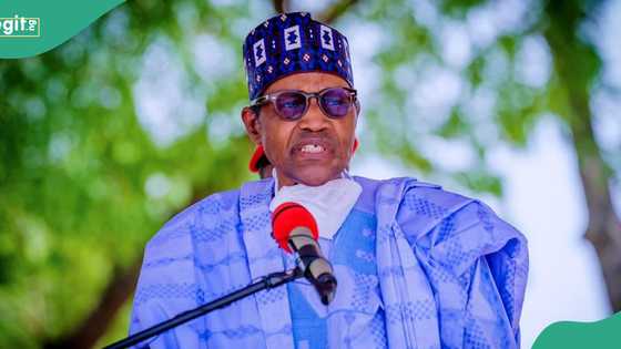 2023 presidential election: Garba Shehu speaks on Buhari's preferred candidate in trending video