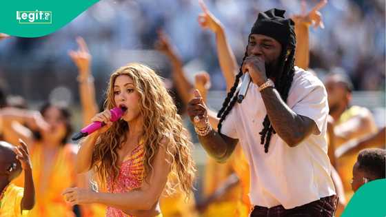 How much did Burna Boy and Shakira earn for 2026 World Cup final halftime performance