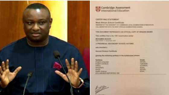 Keyamo brags as he displays Buhari’s WAEC certificate, mocks PDP