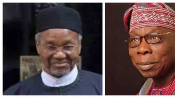 How Obasanjo's move cut short Tukur's tenure as BUK VC - Buhari's nephew reveals