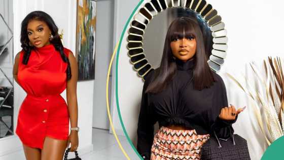 “I begged her in boxers”: Drama as Papaya Ex’s PA’s brother calls her out over unpaid salary