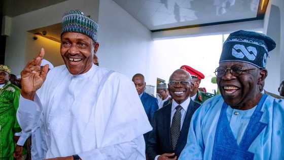 2023: APC lawmaker names only politicians who can succeed President Buhari, gives reasons