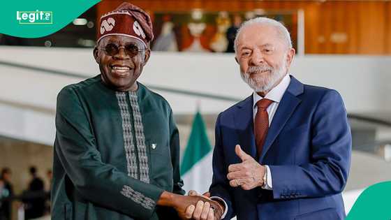 Nigeria, Brazil launch direct air connectivity through bilateral agreement