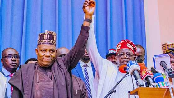 2023 elections: Prominent Fulani group finally reveals anointed presidential candidate