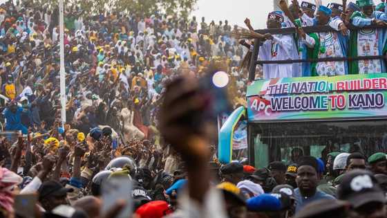 Takarar 2023: Yadda Tinubu, Atiku, Kwankwaso da Obi Za Suyi Yaki a Kan Kuri’un Kano