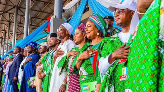 2023: An fara buga gangar takarar Bola Tinubu da wani Gwamnan Arewa a APC