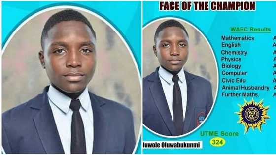 Nigerian kid, Oluwole Oluwabukunmi smashes WAEC exams, scores A1 parallel in 9 subjects, makes 324 in JAMB