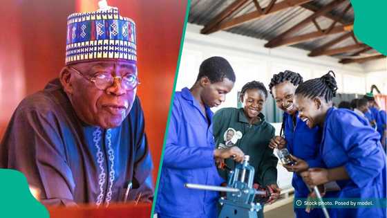 Over 41,000 Nigerians to benefit as NDE expands Renewed Hope employment scheme