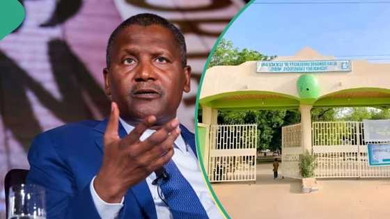 Dangote solves Kano varsity's electricity woes with N100m contribution