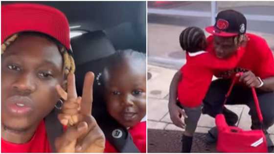 "He's very handsome": Video of Zlatan Ibile's lookalike son with British accent warms the heart of many