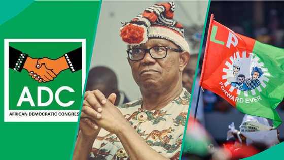 2027 elections: Why joining ADC coalition could hurt Peter Obi’s presidential ambition