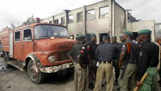 Violence escalates across Nigeria as armed bandits kill 9 police officers in Kebbi state