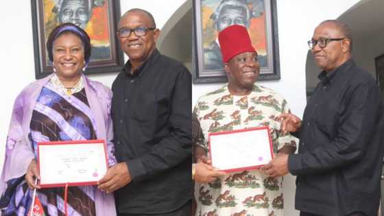 Political elites shocked as Labour Party makes inroad into 10th National Assembly