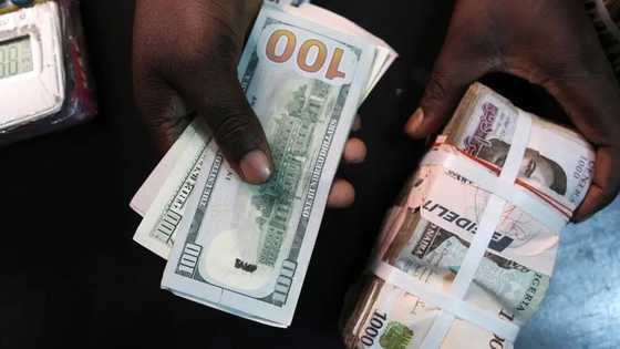 As Naira continues to fall, Nigerian Banks pocket over N224bn from forex trading in 9 months, Access leads