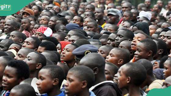 Full list of Africa's 10 most populous countries in 2026 as Nigeria reaches 242.4 Million