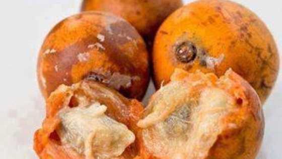 Lafiya jari: Anfanin 'ya'yan agwaluma 10 na ban mamaki a jikin dan adam