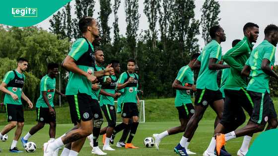 Former Super Eagles star speaks on Eric Chelle's goalkeepers ahead of World Cup qualifiers