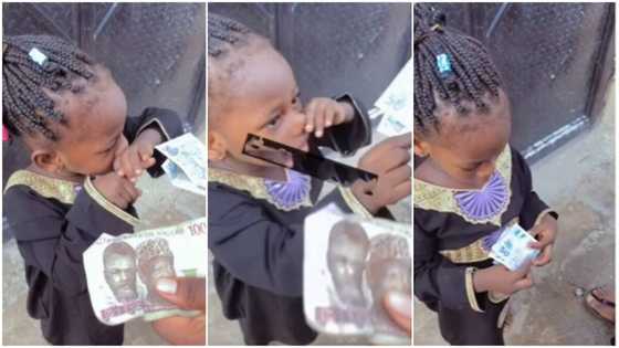 She's so innocent: Funny reactions as kid picks N50 notes over N1000 money in viral video