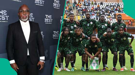 Former NFF president drops crucial hint on appointment of next Super Eagles coach
