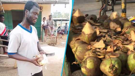 “God will heal him”: Vision-impaired man videoed selling coconut by the roadside, inspires folks