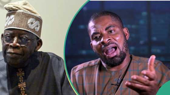 Deji Adeyanju reacts to Tinubu's govt creation of Livestock Ministry: "It makes no sense"