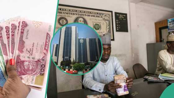 Naira opens new week negative against US dollar at official, black markets, but there is hope of recovery