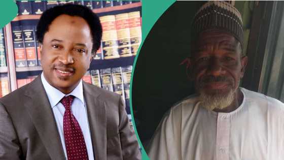 "An yi masa mugun duka": Shehu Sani ya yi martani yayin da shugaban makarantar Kaduna ya shaki yanci