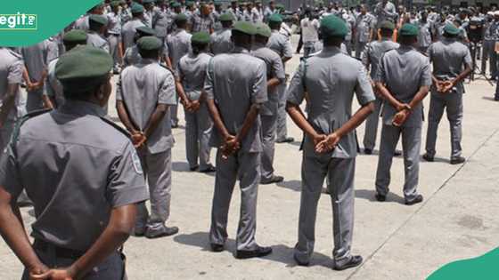 Customs speaks on lifting ban on petrol supply from border communities amid new NNPC, Dangote prices
