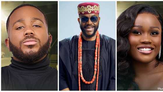 BBNaija Season 8 Updates: Cee-C, Kiddwaya, Mercy Eke, Tolani Baj, Cross, others return for All Stars Edition