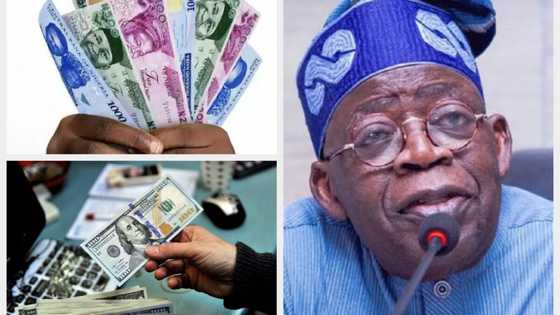 List of currencies stronger than US dollar as Tinubu eyes N200/$ exchange rate